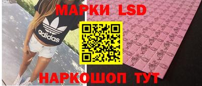 a pvp Краснознаменск
