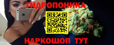 a pvp Краснознаменск