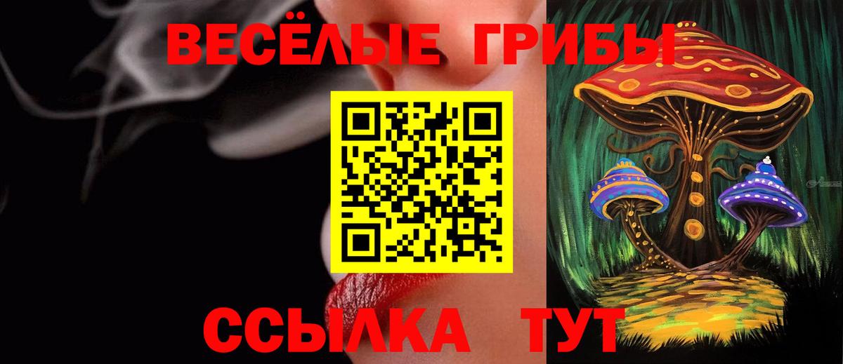 Псилоцибиновые грибы GOLDEN TEACHER  Вход с VPN  Заволжье  Псилоцибиновые грибы ЛСД 